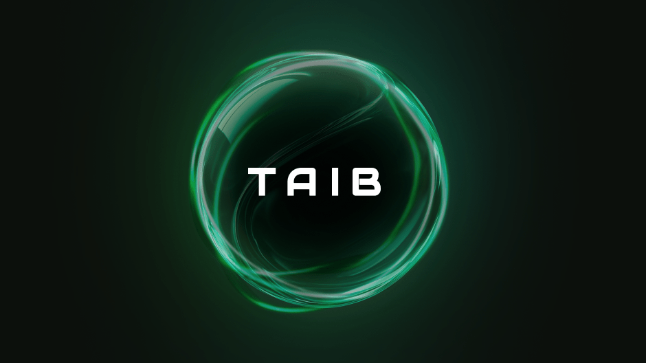 TAIB - Plataforma de Inteligência Artificial para PME portuguesas